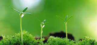Học được điều này thì dẫu đi khắp thiên hạ cũng không có kẻ thù