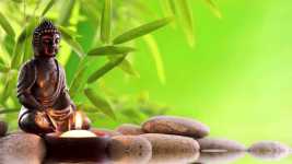 Suy nghiệm lời Phật: Có sinh ắt có diệt