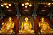 Những giai tầng phát triển