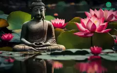 Bố thí, cúng dường cũng có năm bảy đường