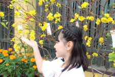 Tâm biết đủ là người giàu nhất thiên hạ