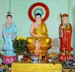 Thể Nhập Con Đường Là Giải Pháp