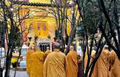 Đại lão HT Thích Trí Tịnh