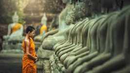 Điều phục thân tâm bằng thiền đi