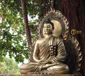 Đức Phật dạy gì trong mùa an cư cuối cùng