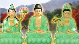 Quán chiếu về sự sống chết