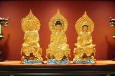Loại sân hận nào nguy hiểm nhất