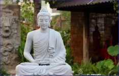 Thiền Phật Giáo - Nguyên Thủy và Phát Triển