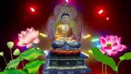 Tay Trắng Cuộc Đời (Vô thường vô sản)