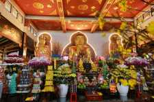 Thành kính dâng hương, lễ Phật