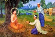 Triết lý chợ cá hay hiện pháp lạc trú ở phương Tây