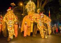 Tưng bừng lễ rước răng Phật lớn nhất trên đường phố Sri Lanka