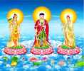 Tụng Kinh A Di Đà