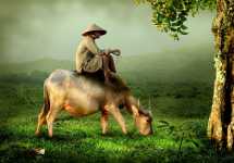 Vấn đề "Vô Ngã" trong Đạo Phật