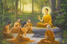 Xin đừng ca ngợi đức Phật mà quên đi giáo Pháp Ngài đã giác ngộ