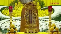 mq2 (8)