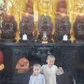 Cần Một Trái Tim