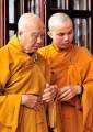 images (4)
