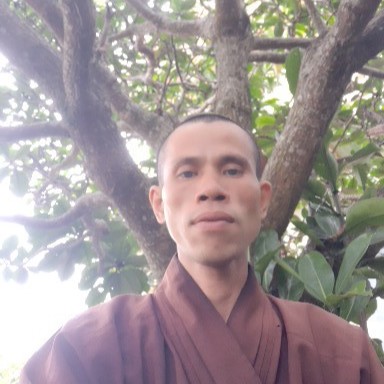 Ngát hương sen hồ Tây