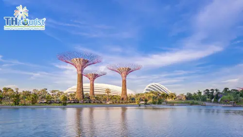 VIET NAM  - SINGAPORE