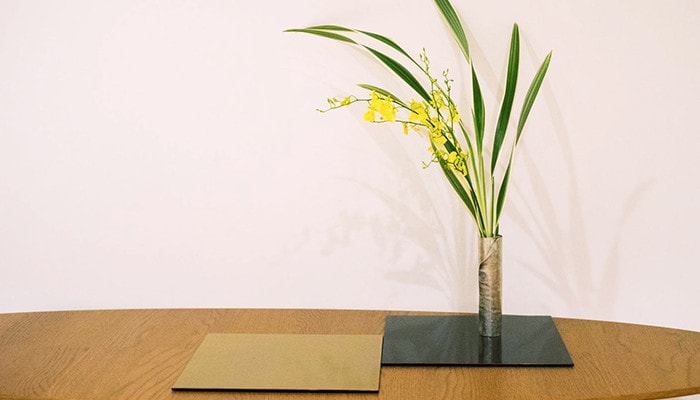 Nếu Trí tuệ không có đạo đức soi đường