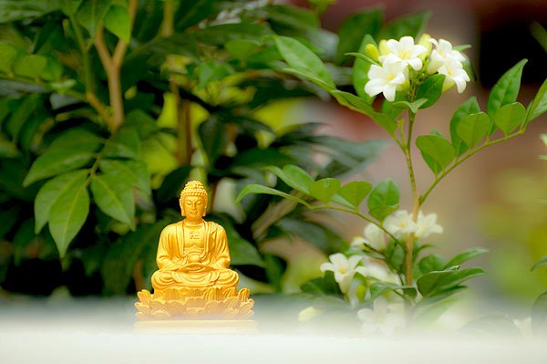 10 Nghiệp lành mang lại phước đức