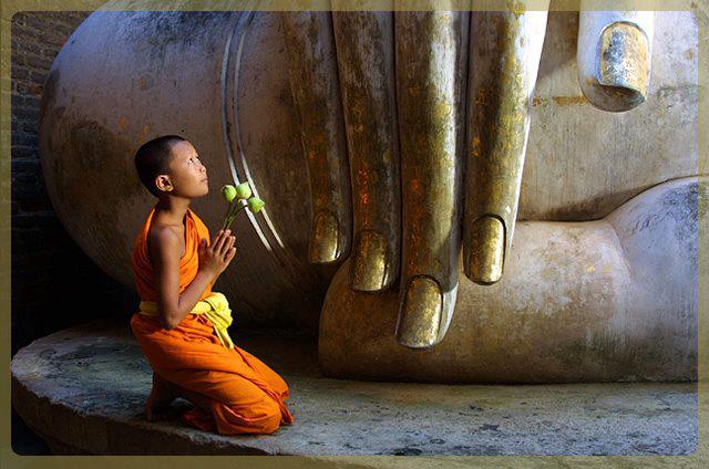 Con người toàn diện, hạnh phúc toàn diện