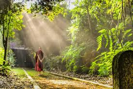 Tấm Lòng Rộng Mở - Luyện tập lòng từ bi trong đời sống hằng ngày - Phần 13: Chương 11: Duy trì điềm tĩnh