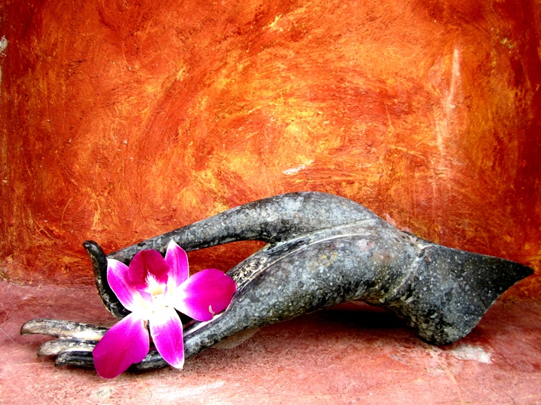 Nếu còn một ngày để sống