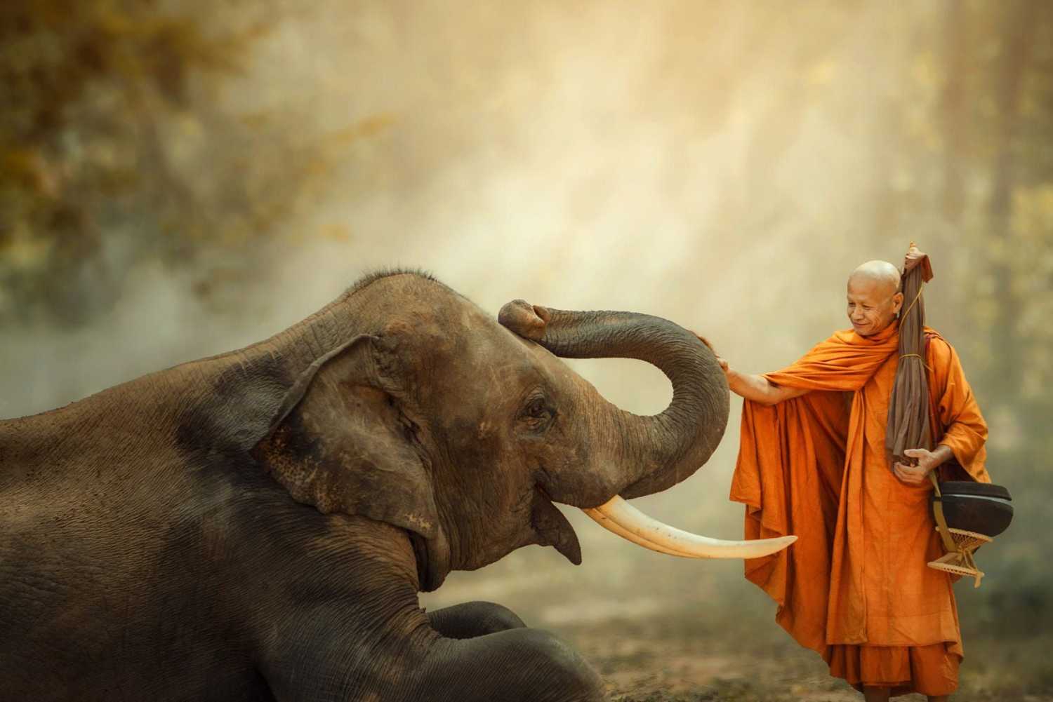 Khởi niệm tà dâm, dù chưa hành động nhưng đã bị triệt tiêu phúc phận đời người