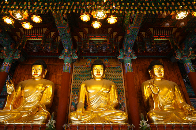 Những giai tầng phát triển