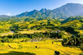 ANGULIMALA - Một câu chuyện về sức mạnh của lòng từ bi