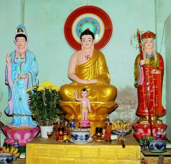 Thể Nhập Con Đường Là Giải Pháp