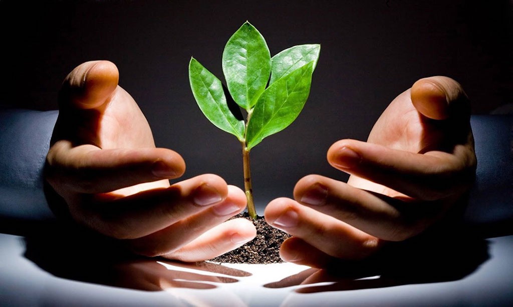 Bố thí ba-la-mật trong thời hiện đại