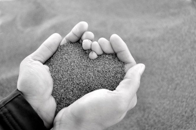 Hạnh phúc thực tại giữa thế giới vô thường
