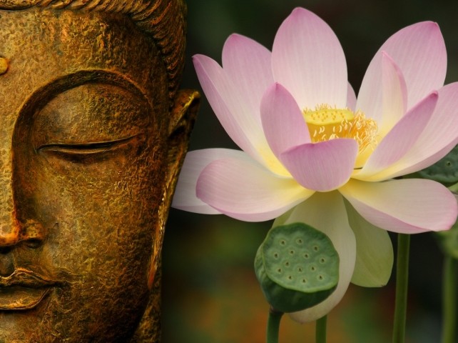 Hiểu cho đúng nghĩa vô thường của đạo Phật