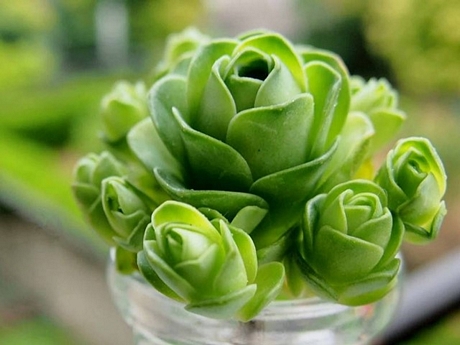 Người mê tín trước mắt mất điều gì