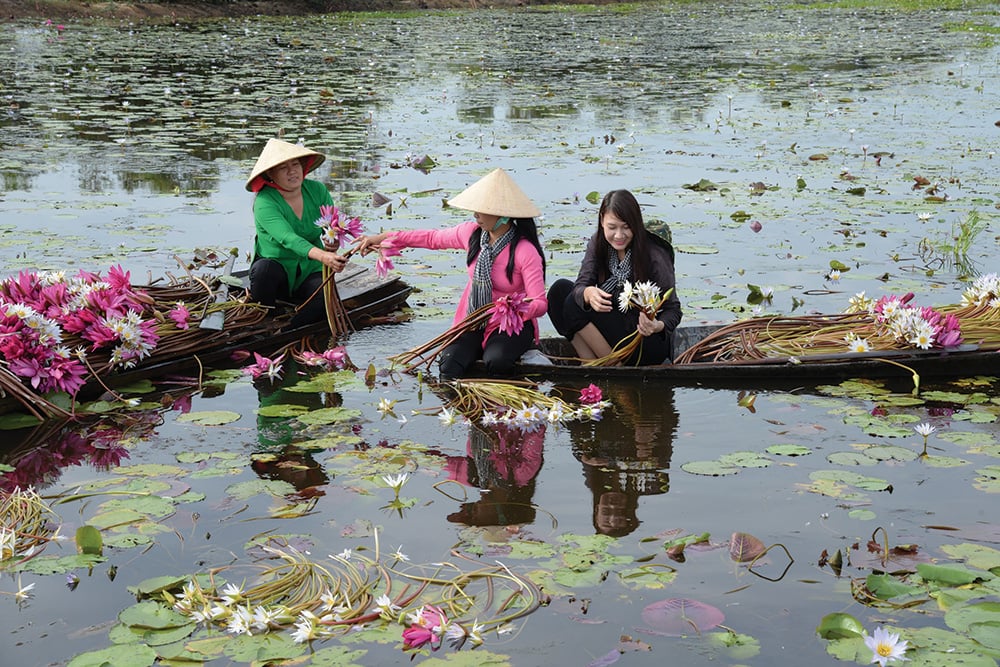 Pháp Ngữ của Thiền Sư Hư Vân