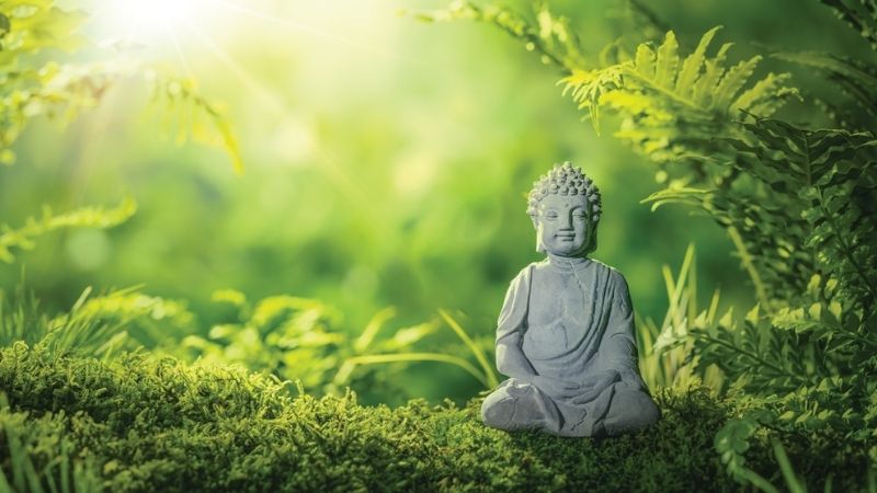 Tại Sao Trong Đạo Phật Đề Cập Đến “Vô Ngã”