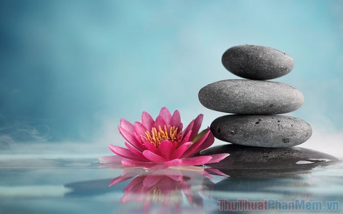 Thường và Vô thường