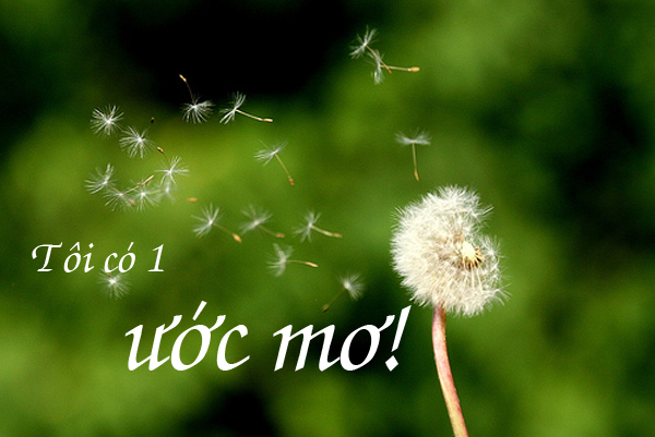 Ước mơ trong đời