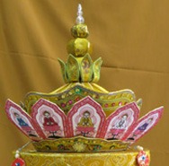 Mão Gấm bào ngư