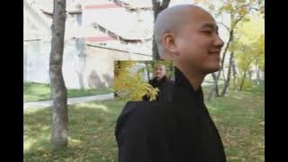 Bốn Điều Thuận Lợi Thầy Thích Pháp Hòa chùa Phước Hải