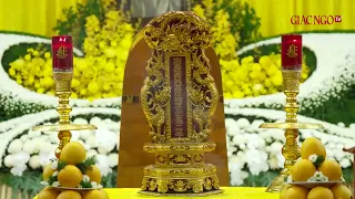 mq2 (8)
