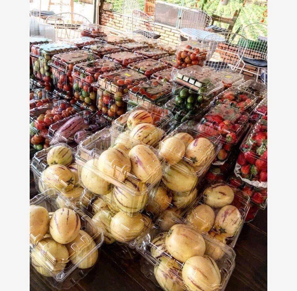 Trái Cây Đà Lạt