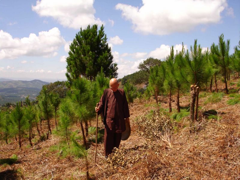 17 Cuống Cuồng Trước Sinh Tử HT Thích Từ Thông