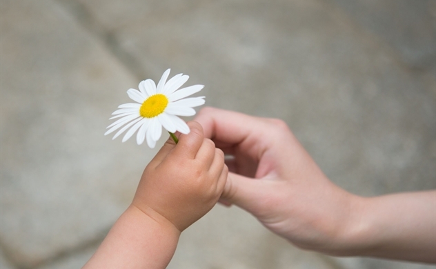 Người thông minh thường làm 4 điều này, phước cao tựa núi, cả đời hạnh phúc an nhàn