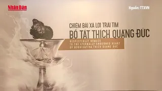 98e804b6f7347f6a262515 7253 1181 jpg