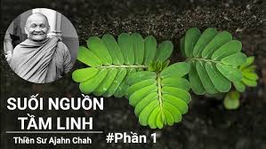 tải xuống (1)