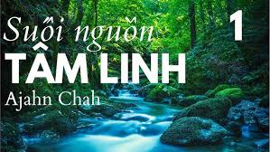 tải xuống (9)